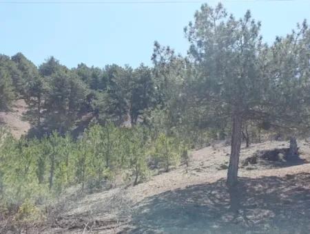 Çameli Gökçeyakada Satılık Kelepir Arazi 1 844 M2 Müstakil  Arazi Satılık.