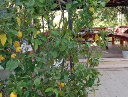 Türsab Belgeli Ortaca Akıncıda Müstakil Lüks Villa Satılık