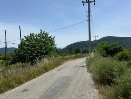 Ortaca Mergenlide 13 500 M2 Tarla Satılık
