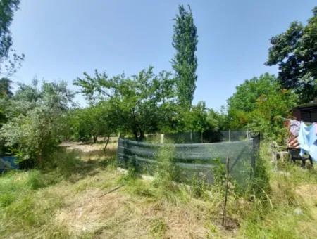 Ortaca Kemaliyede  Rızai Taksimli 500 M2 Arazi Acil Satılık