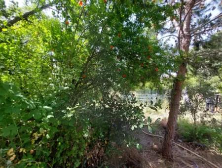 Ortaca Kemaliyede  Rızai Taksimli 500 M2 Arazi Acil Satılık