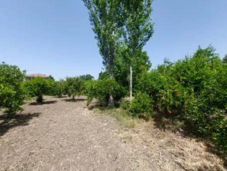 Ortaca Kemaliyede  Rızai Taksimli 500 M2 Arazi Acil Satılık
