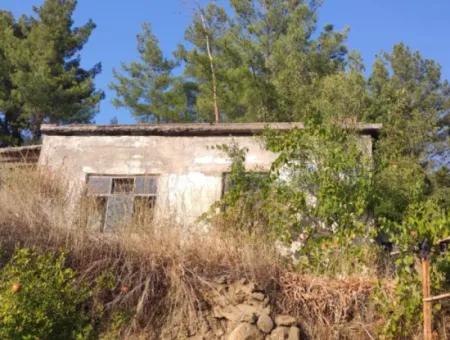 Muğla, Dalaman, Elcik 1 100 M2, Müstakil Arazide, 60 M2 Köy Ev Satılık
