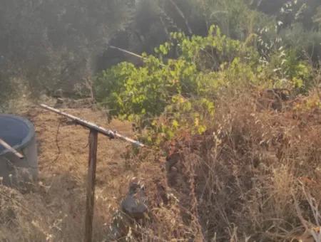 Muğla, Dalaman, Elcik 1 100 M2, Müstakil Arazide, 60 M2 Köy Ev Satılık
