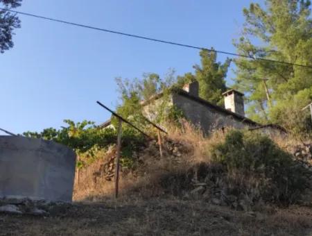 Muğla, Dalaman, Elcik 1 100 M2, Müstakil Arazide, 60 M2 Köy Ev Satılık