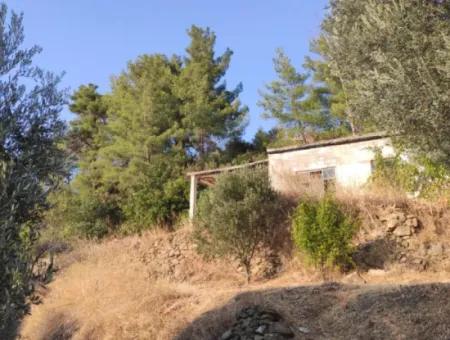 Muğla, Dalaman, Elcik 1 100 M2, Müstakil Arazide, 60 M2 Köy Ev Satılık