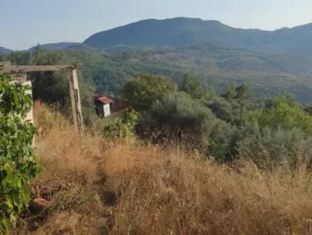 Muğla, Dalaman, Elcik 1 100 M2, Müstakil Arazide, 60 M2 Köy Ev Satılık