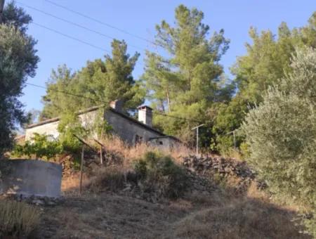 Muğla, Dalaman, Elcik 1 100 M2, Müstakil Arazide, 60 M2 Köy Ev Satılık