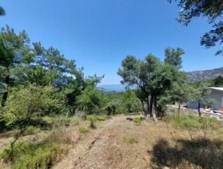 Muğla Ortaca Gökbel’de Göl Ve Deniz Manzaralı 1.000 M² Yatırımlık Arazi Satılık ????