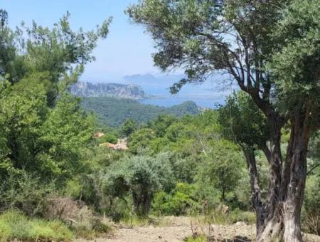 Muğla Ortaca Gökbel’de Göl Ve Deniz Manzaralı 1.000 M² Yatırımlık Arazi Satılık ????