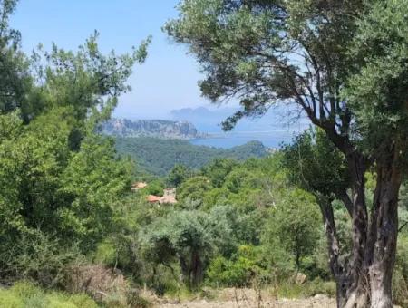 Mugla Gökbelde Göl Ve Deniz Manzaralı 1000M2 Arazi Satılık