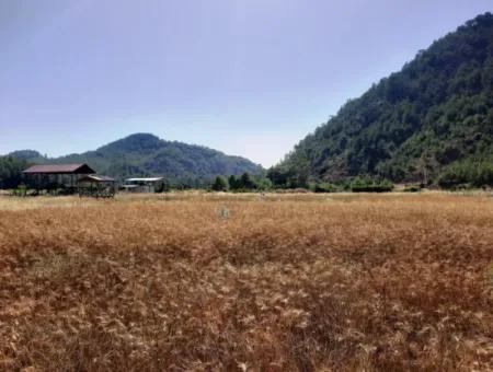 Dalaman Karacaağaçda 454 M2 Müstakil Tapulu Arazi Satılık