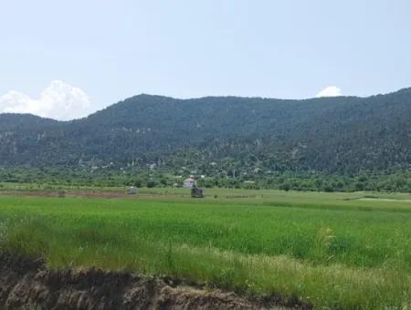 Çameli Bıçakçı’da Satılık Kelepir Arazi – 5.333 M² Müstakil Tapulu