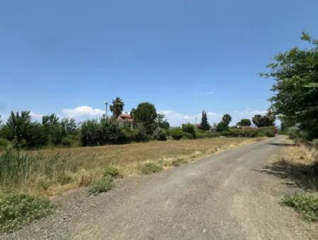 Dalyan Okçular Da 525 M2 + 505 M2 2 Parsel Arsa Satılık