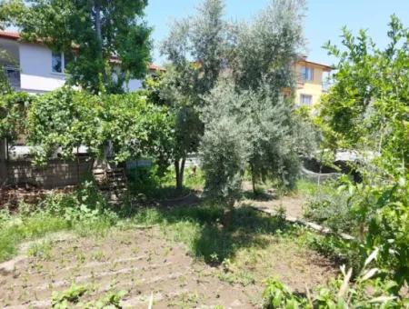 Dalaman Altıntaş’ta Bahçeli 2 Adet 2+1 Daire Ve Müstakil Arsa Satılık!
