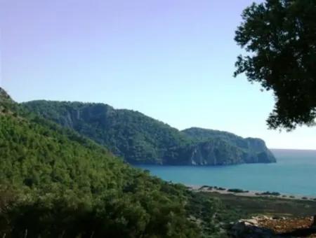 Muğla Dalaman İncebelde Satılık Deniz Ve Göl Manzaralı Arsa