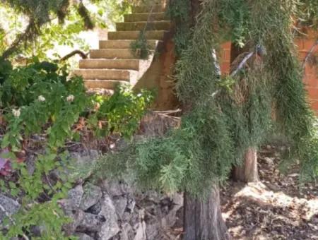 Denizli Çameli Gökçeyaka’da 750 M² Arazide 2 Katlı Taş Ev Satılık