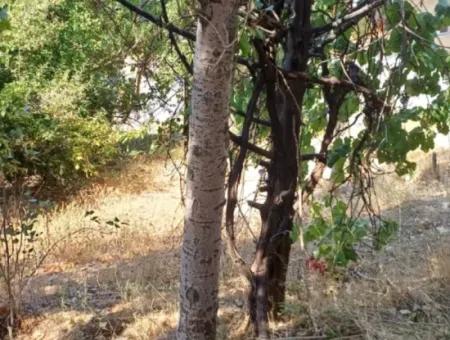 Denizli Çameli Gökçeyaka’da 750 M² Arazide 2 Katlı Taş Ev Satılık