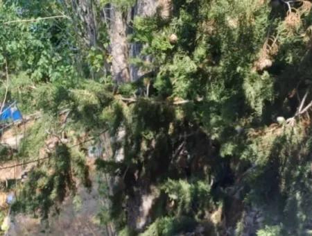 Denizli Çameli Gökçeyaka’da 750 M² Arazide 2 Katlı Taş Ev Satılık