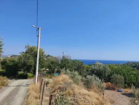 Ortaca Sarıgerme Deniz Manzaralı 2 225 M2 2 Müstakil Parsel Satılık