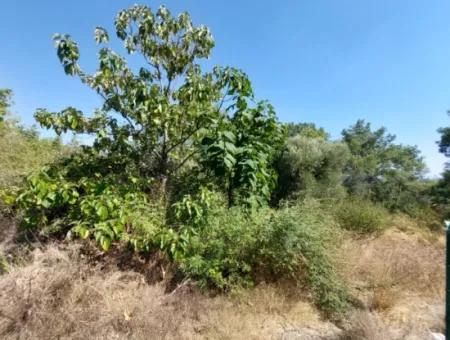 Ortaca Sarıgerme Deniz Manzaralı 2 225 M2 2 Müstakil Parsel Satılık