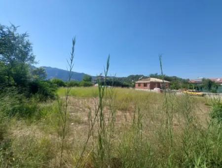 Muğla Ortaca Yeşilyurt Ta 900 M2 Arsa Acil Satılık 250 M2 İnşaat Hakkı Olan