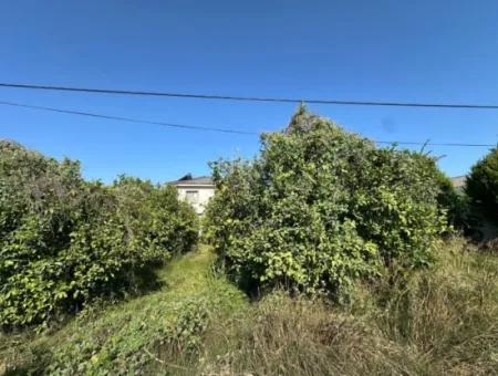 Ortaca Fevziye De 529 M2 Köşe Parsel Arsa Satılık