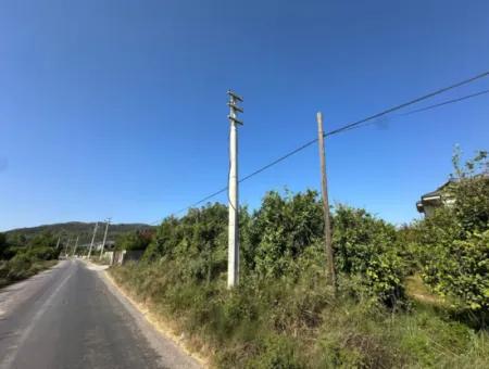 Ortaca Fevziye De 529 M2 Köşe Parsel Arsa Satılık