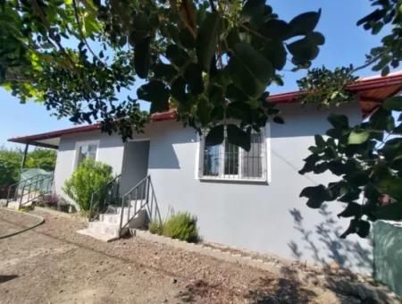 Ortaca Eskiköy’de Doğanın Kalbinde 3+1 Tek Katlı Ev – Yıllık Kiralık