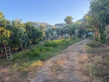 Muğla, Ortaca, Okçularda Konumu İyi  650 M2 Konut  İmarlı Arsa  Satılık