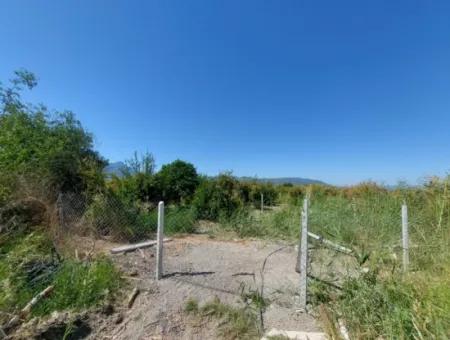 Ortaca Tepearasında  8126  M2 Yatırım Ve Zirayi Krediye Uygun Nar Bahçesi Satılık