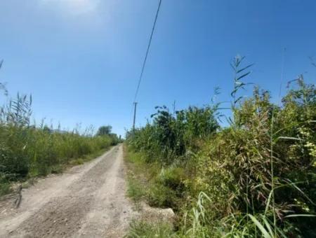 Ortaca Tepearasında  8126  M2 Yatırım Ve Zirayi Krediye Uygun Nar Bahçesi Satılık