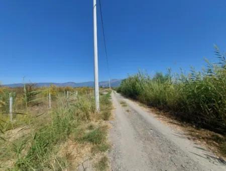 Ortaca Tepearasında  8126  M2 Yatırım Ve Zirayi Krediye Uygun Nar Bahçesi Satılık