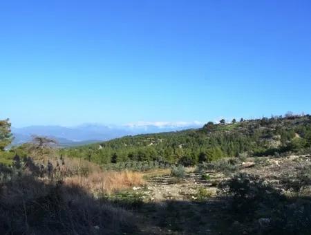 Fethiye Yaka Tlos Satılık Su Kenarı Değerli Arazi