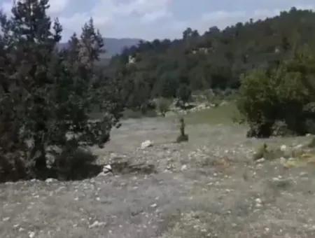 Çameli Ayvacık Ta 2030 M2 Tarla Satılık