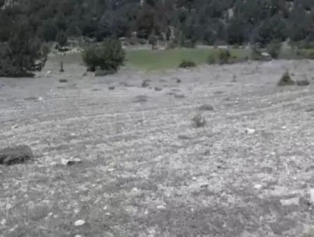 Çameli Ayvacık Ta 2030 M2 Tarla Satılık