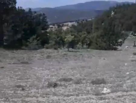 Çameli Ayvacık Ta 2030 M2 Tarla Satılık