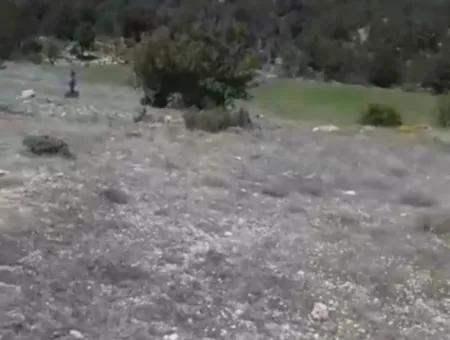 Çameli Ayvacık Ta 2030 M2 Tarla Satılık