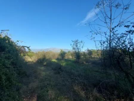 Köyceğiz Toparlar Da  Göle Yakın 9 600 M2 Arazi Satılık