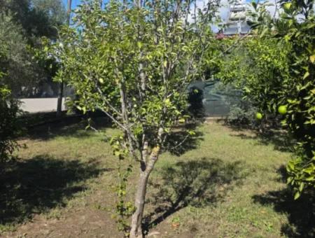 Ortaca Akıncı Sarıgerme Yoluna Sıfır 902 M2 Arsada 2+1, 70 M2 Köy Evi Satılık