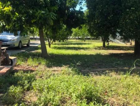 Ortaca Akıncı Sarıgerme Yoluna Sıfır 902 M2 Arsada 2+1, 70 M2 Köy Evi Satılık