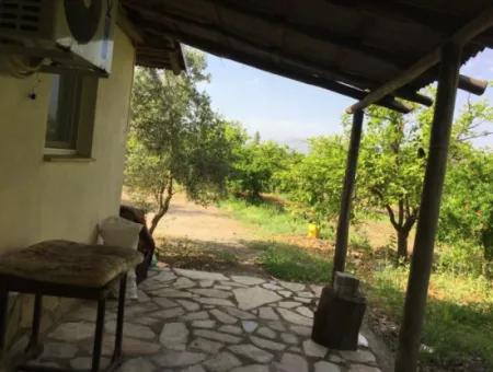 Muğla Ortaca Okçularda Eşyasız Kiralık 2+1 Bahçeli Köy Evi