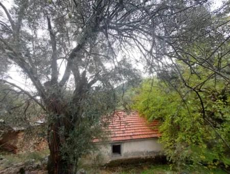 Muğla Fethiye İnlice’de Doğa İçinde Satılık Tapulu Köy Evi