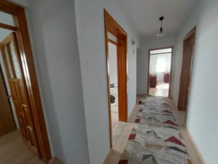 Ortaca Kemaliye De 750 M2 Arsada 3+1 Full Eşyalı Müstakil Ev Kiralık