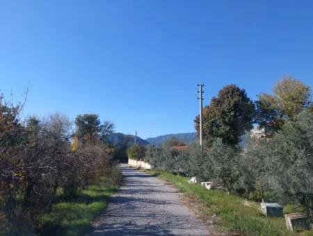 Mugla Dalyan Da 150 M2 İnşaat Hakkı Olan 4 500 M2 Arazi Satılık Veya Dalyan Dan Villa İle Takas