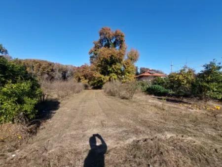 Muğla Dalyan Da Yatırıma Uygun Kelepir  Orman A Sıfır 4 000 M2 Arazi Satılık