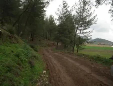 Ortaca Gölbaşında 10,000 M2 Yatırıma Uygun Arazi Satılık