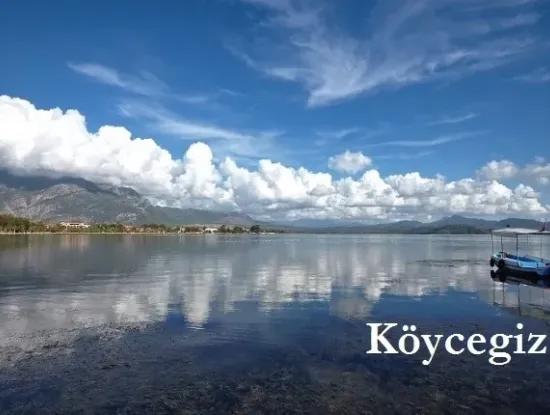 Pikan Gayrimenkul